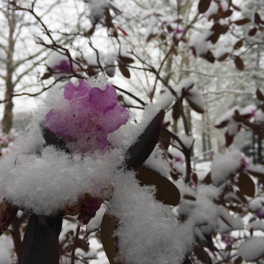 Meet your Posher, Robyn